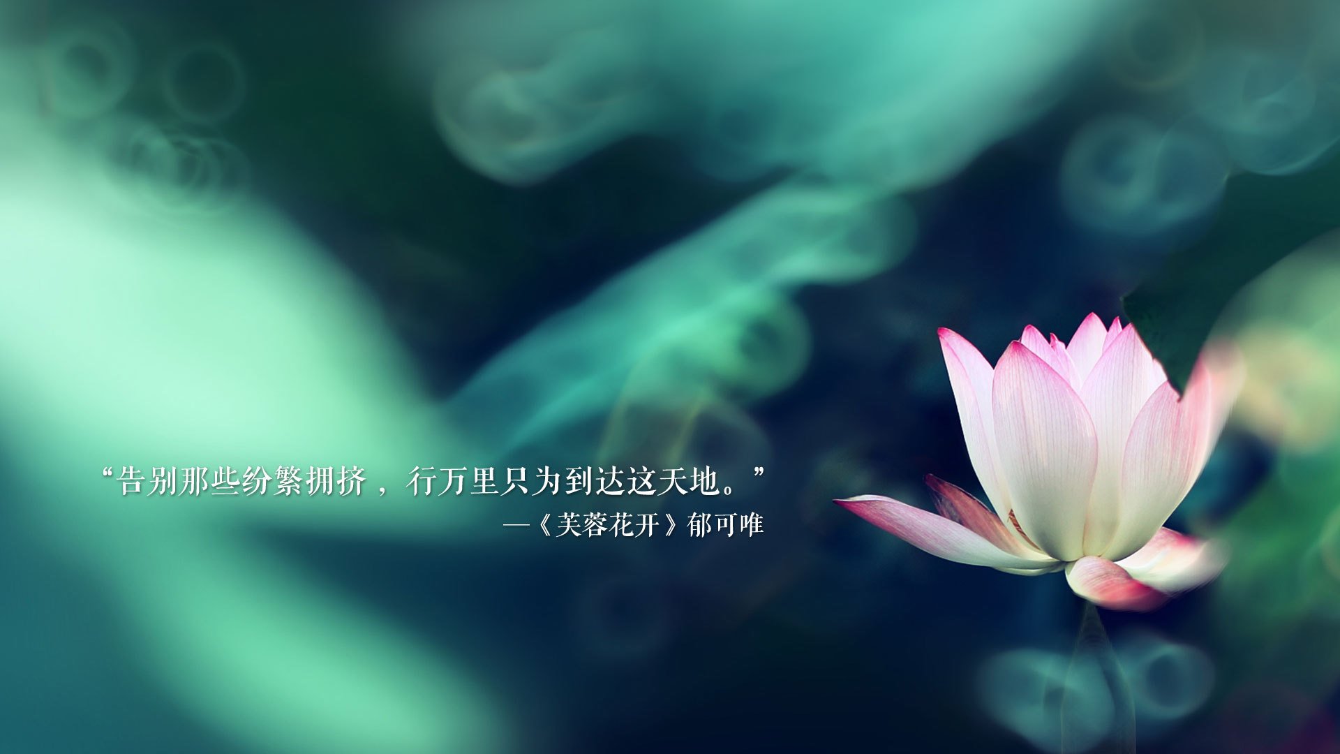 爱游戏下载-青少年体育赛事安全保障，青少年体育比赛