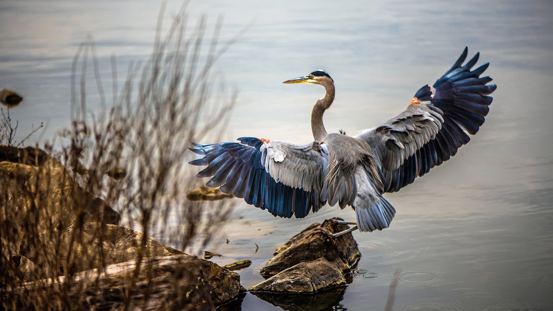 爱游戏下载-主帅接受专访分享执教理念谈及团队合作与精神建设，执教理念是什么