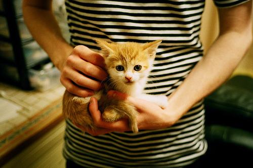 爱游戏娱乐网址-喀麦隆男篮在非洲锦标赛中奋勇争冠，体育实力持续增强，非洲预选赛喀麦隆