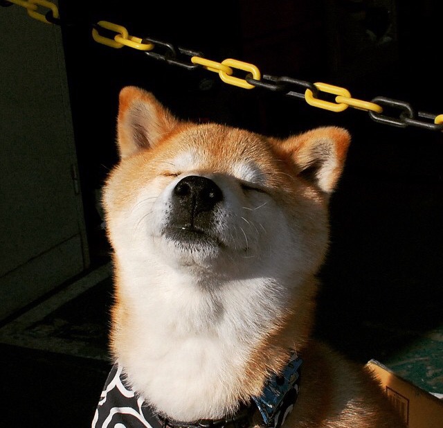 梅西领衔阿根廷队稳步前进，冲刺世界杯