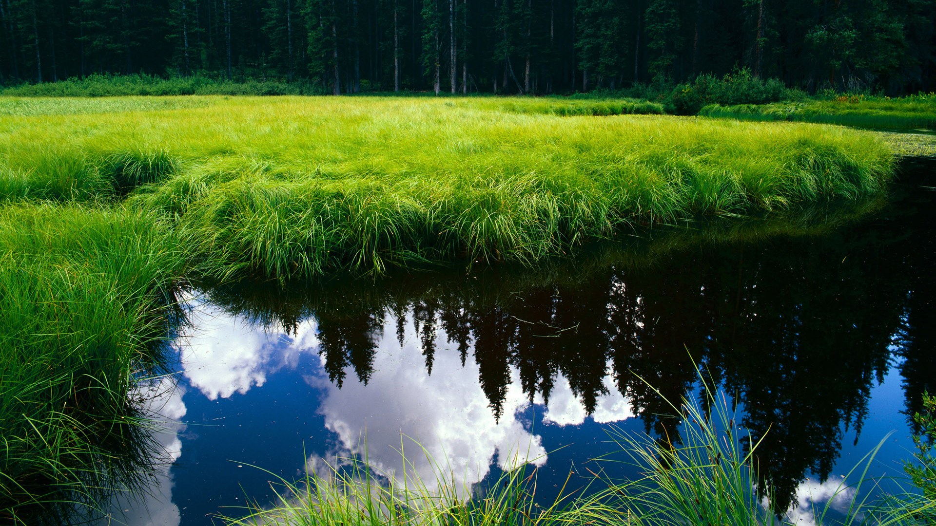 爱游戏app下载-霍特·巴雷特:作为全黑队的全能中场,他的快速决策和精确控制帮助球队夺得多场胜利