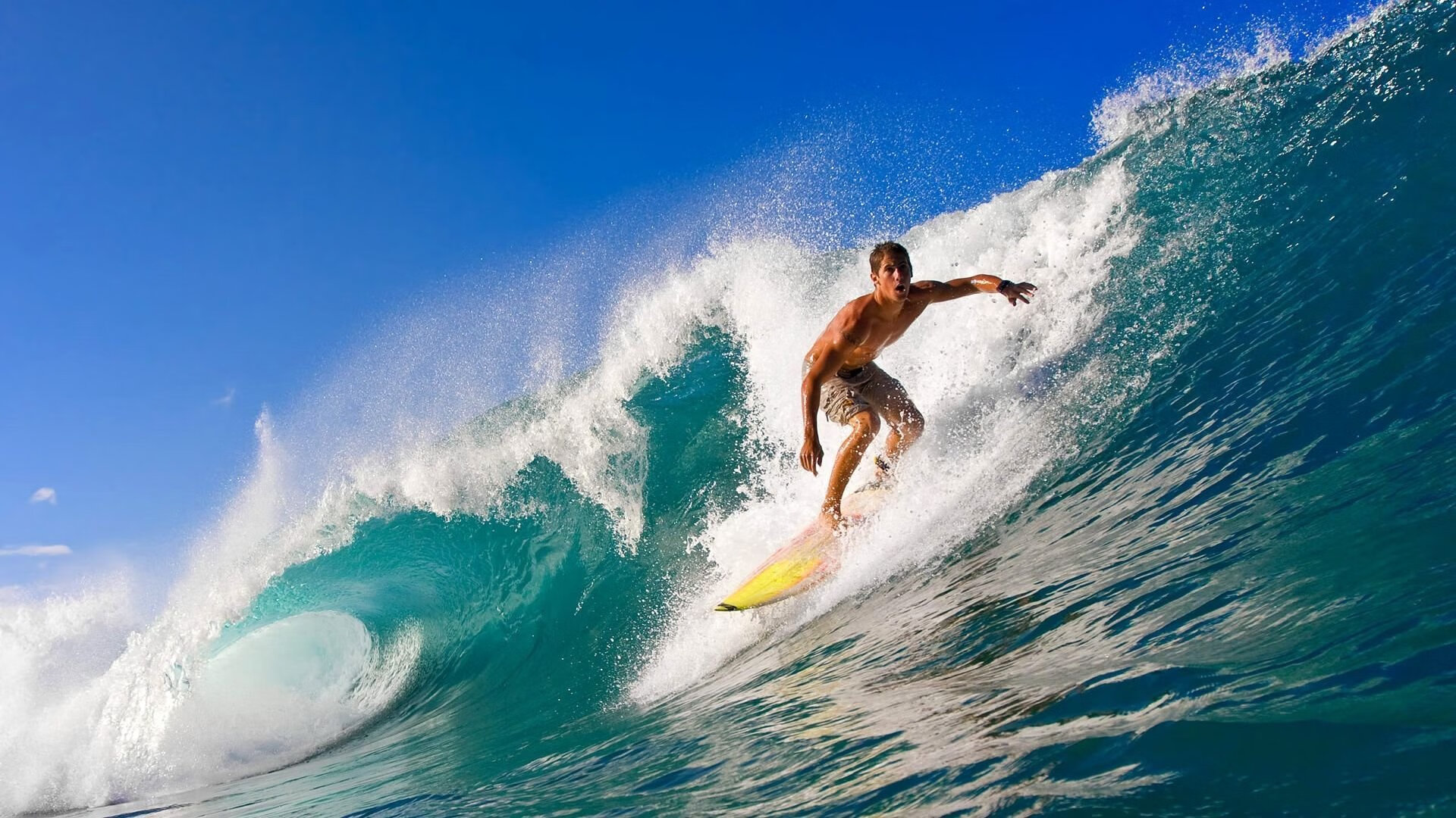 _未来虚拟体育馆:沉浸式运动体验_,未来虚拟乐园